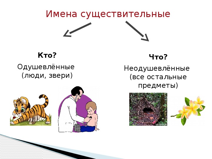 Технологическая карта одушевленные и неодушевленные имена существительные 5 класс