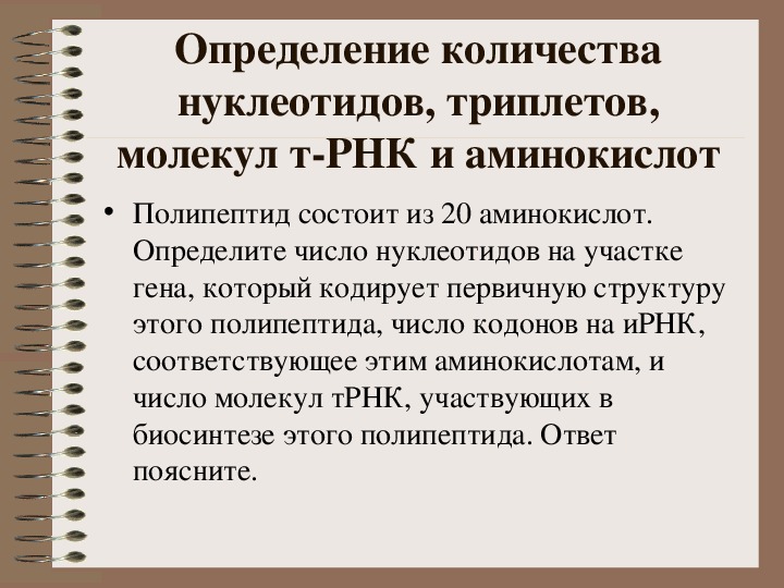 Сколько триплетов кодирует полипептид