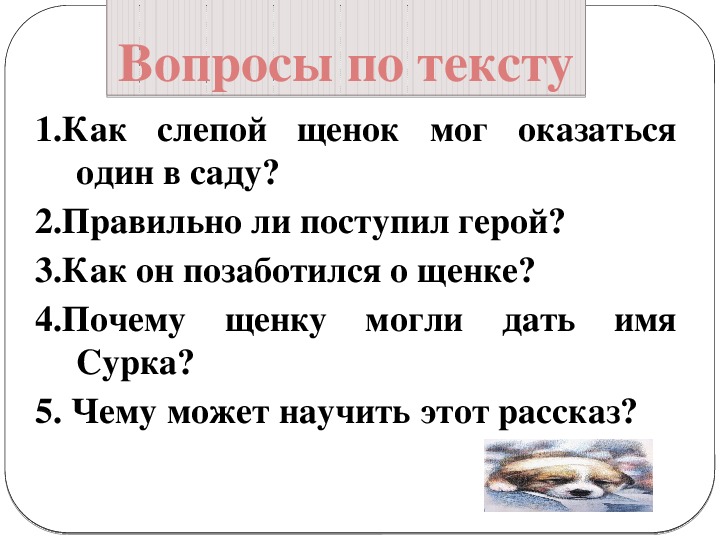 Как я покупал собаку изложение 8 класс