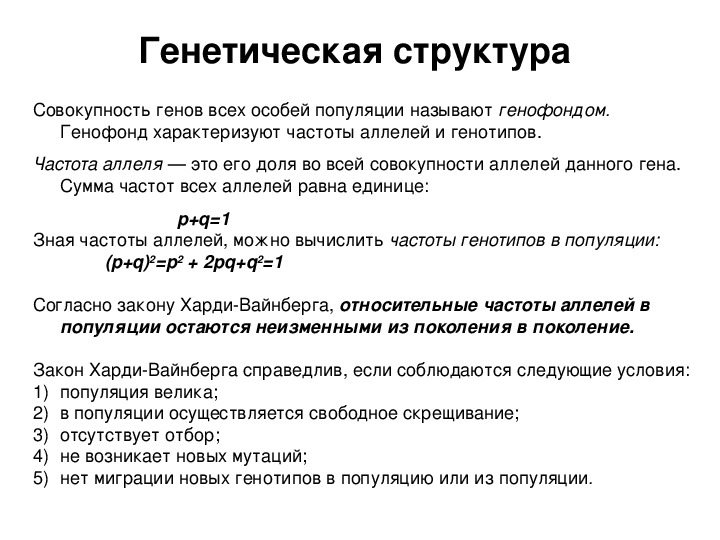 Генетический состав популяции 11 класс презентация