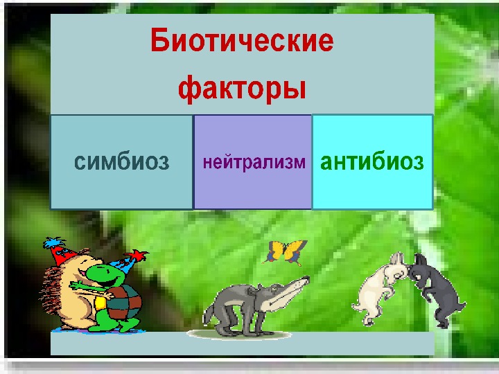 Презентация на тему биотические связи в природе 9 класс биология