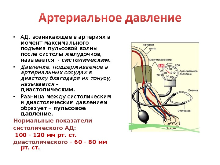 Давление В Члене Становилось