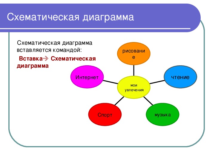 Схематическая диаграмма о биологической роли белков