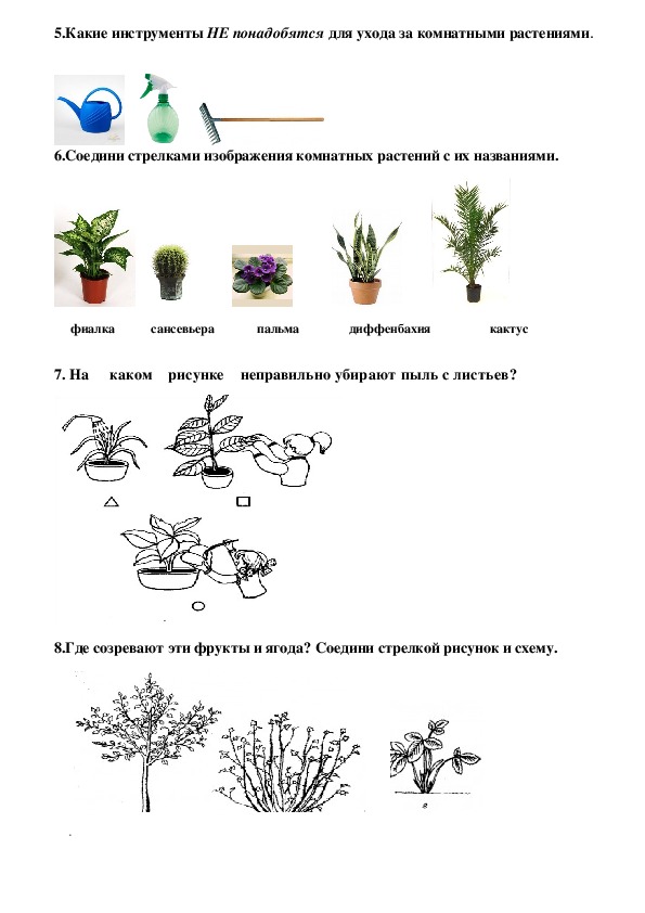 Окружающий мир 4 класс за 1 полугодие