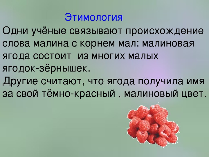 Рифма к слову малина. Этимология слова малина. Предложение о Малине. Слова с интересной этимологией.