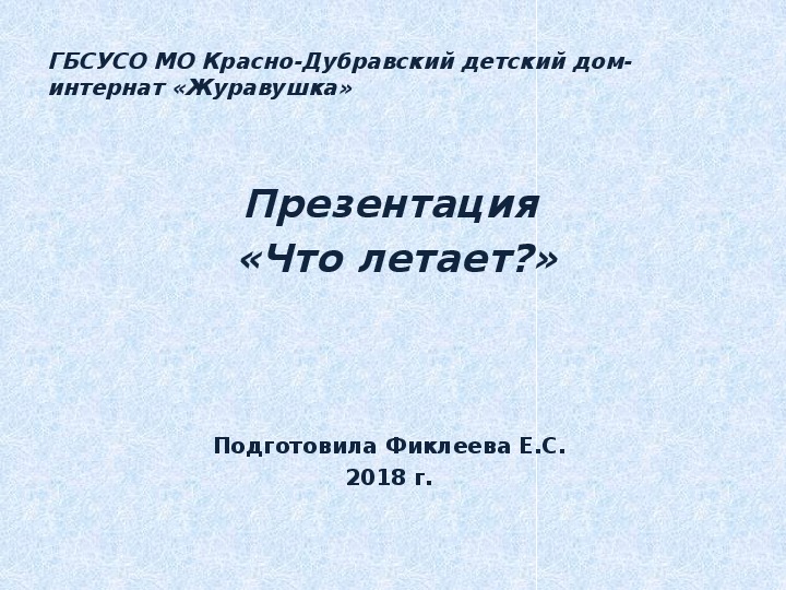 Презентация  «Что летает?».