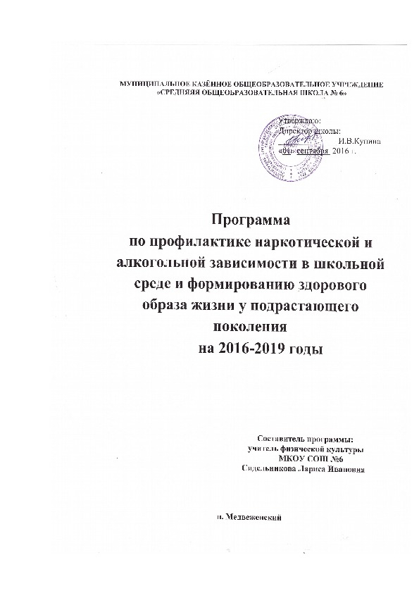 Программа по профилактике наркотической и алкогольной зависимости в школьной среде и формированию здорового образа жизни у подрастающего поколения на 2016-2019 годы