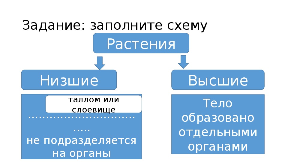 Образуют отдельную