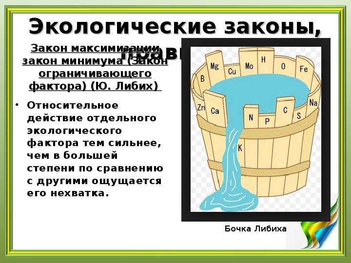 На рисунке изображена бочка либиха иллюстрирующая зависимость урожая от лимитирующего фактора