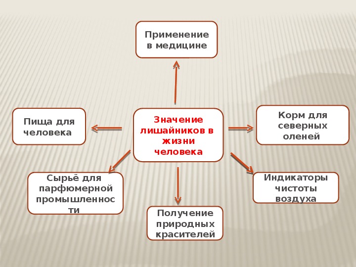 Значение лишайников в природе