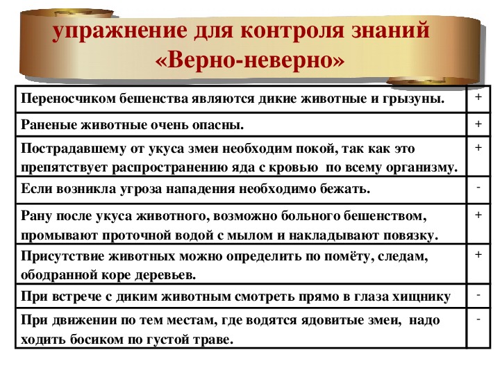 Презентация на тему обеспечение безопасности при встрече с дикими животными в природных условиях