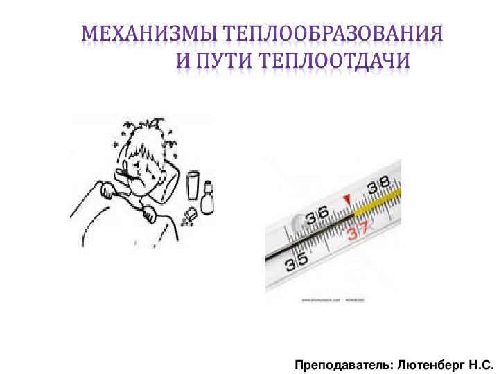 Обложка для материала Механизмы теплообразования                   и пути теплоотдачи