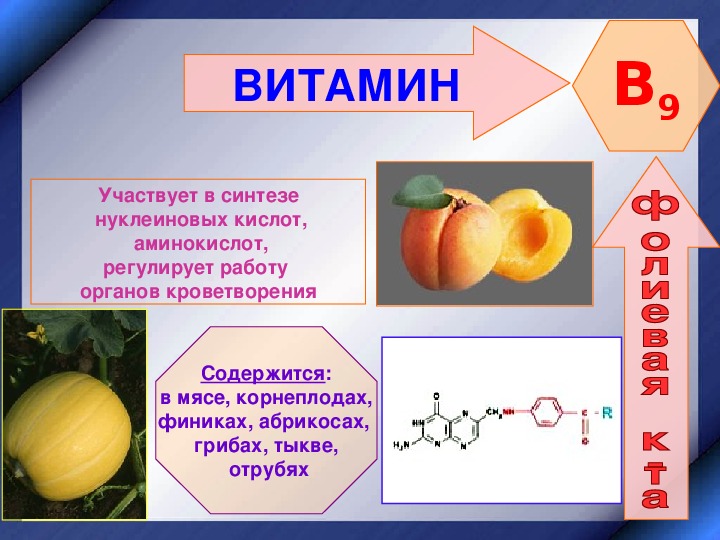 Проект витамины 9 класс