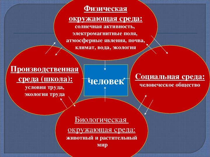 Здоровый образ жизни и профилактика утомления обж 6 класс презентация