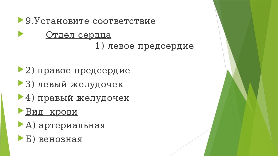 Установите соответствие отдел и растение