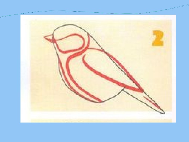 Рисуем птицу поэтапно презентация 2 класс. Презентация рисование птиц. Уроки рисования птиц. Изо поэтапное рисование. Поэтапное рисование птиц.