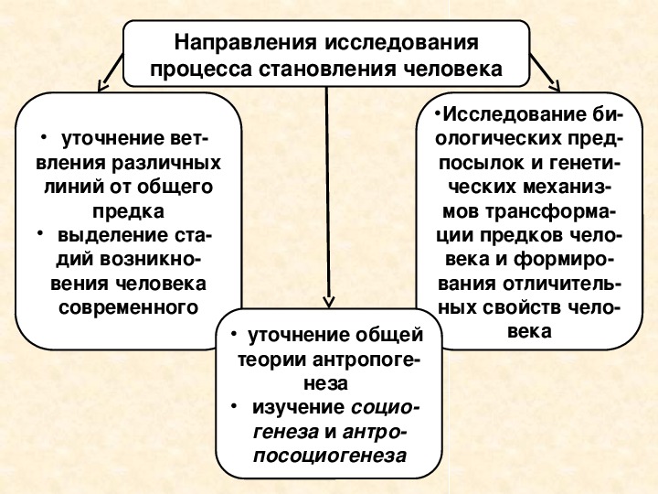 Человек в 21 веке обществознание 10 класс презентация