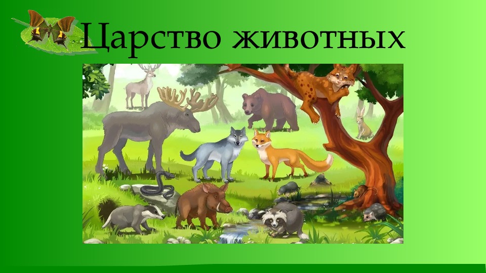 Как живут животные видеоурок. Жизнь животных 1 класс окружающий мир. Картинка как живут животные 1 класс окружающий.