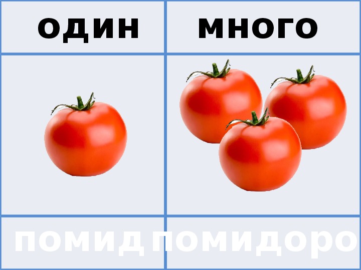 Парные картинки один много