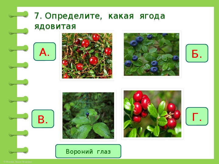 Ядовитые ягоды и грибы для детей картинки