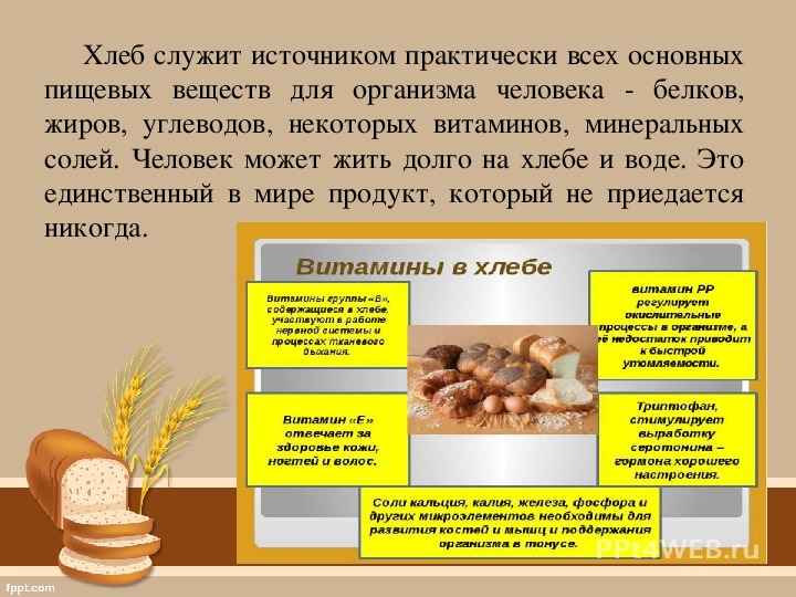 Хлеб с плесенью: можно ли есть? | Эксперты объясняют от Роскачества