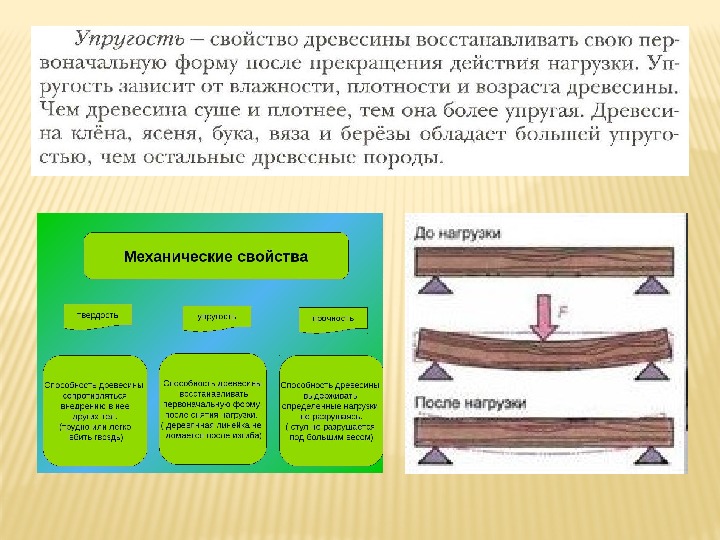 Виды и свойства древесины