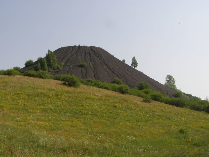 Луганщина. Родной край Луганщина. Проект природа Луганщины. Луганщина мой край родной. Проект 