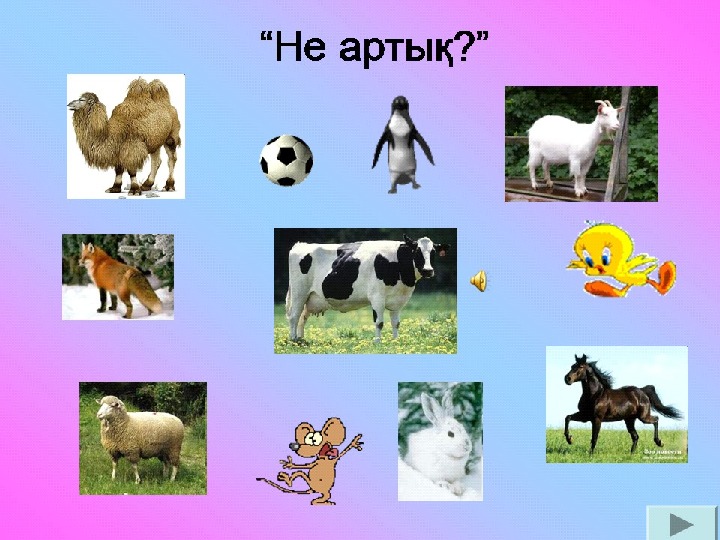 Презентация жануарлар 1 сынып