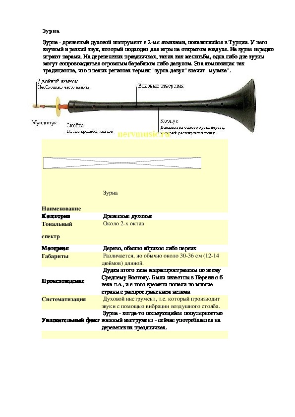 Зурна перевод мат. Зурна инструмент. Зурна описание. Зурна музыкальный инструмент сообщение.