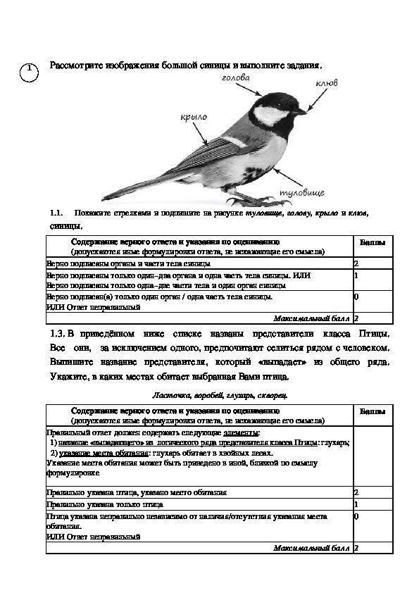 Преудивительная у нас водится птичка впр