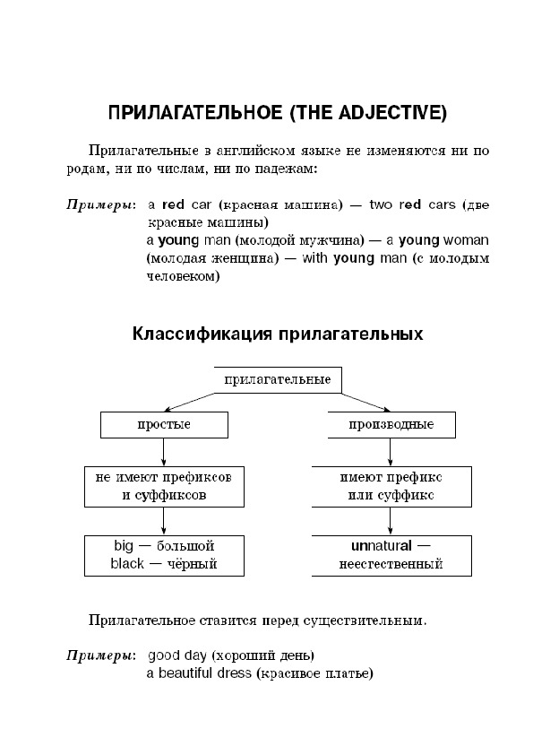 Новошинская каждому изучающему на стол