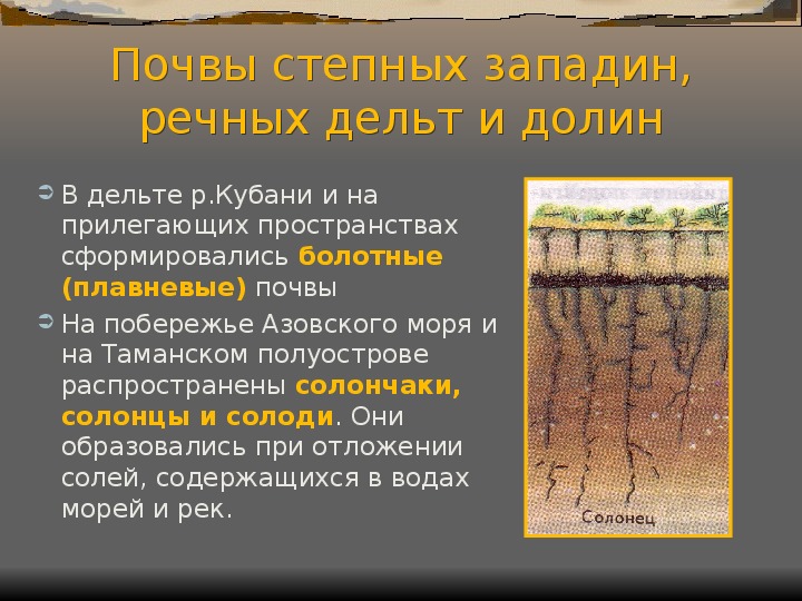 Основные сведения о почвах краснодарского края