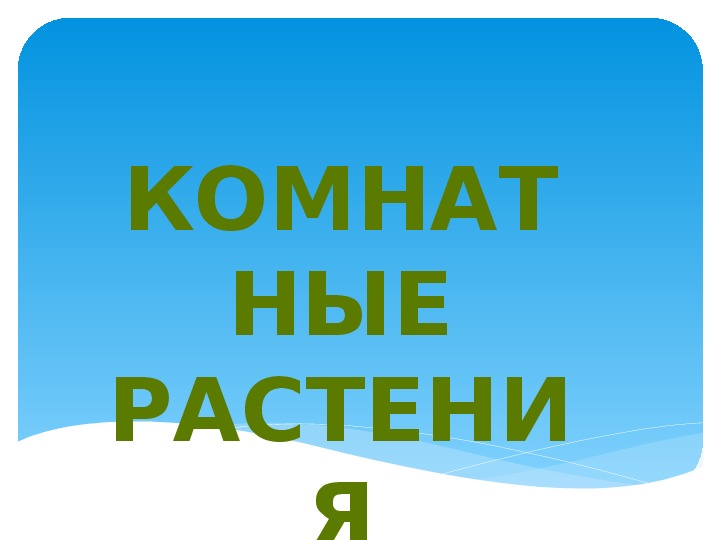 Обложка для материала Комнатный растения