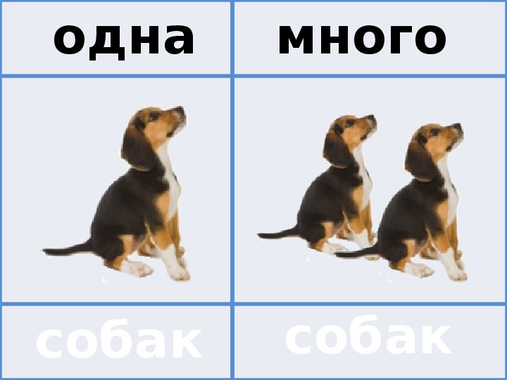 Презентация 1 много. Слова карточки много один. Один много собака. Игра один много собака. Скажи один-много.