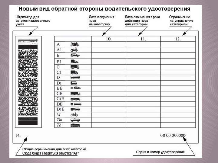 Расшифровка подкатегорий водительских. Категории водительских прав с расшифровкой в1 as. Расшифровка обозначений на водительском удостоверении. Что обозначает категория в1 в водительском удостоверении России.