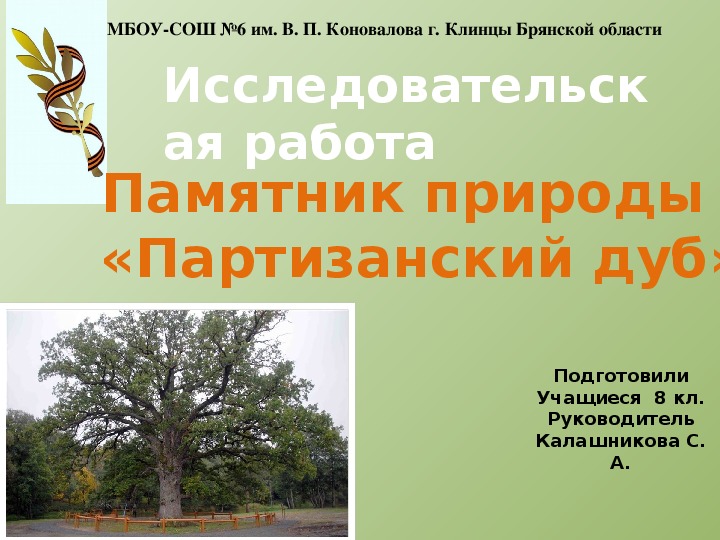 Презентация исследовательской работы  по экологии " Партизанский дуб"
