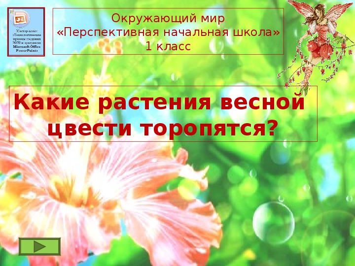 Интерактивный тренажер «Какие растения весной цвести торопятся?»