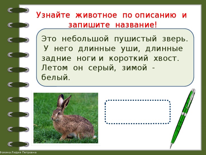 Описание 2 животных. Узнай животное поописнию. Узнай животное по описанию. Угадай животное по описанию. Игра узнай животное по описанию.