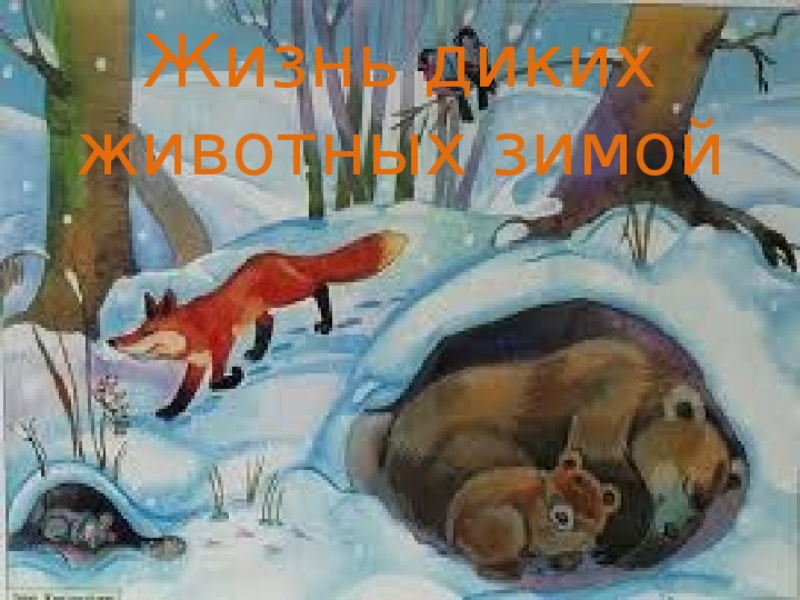 Обложка для материала Презентация для занятий по предмету Естествознание для первой младшей группы