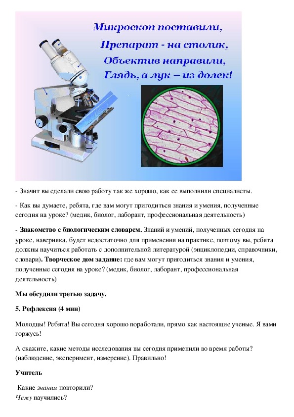 Лабораторная работа изучение клеток под микроскопом. Описание микропрепарата кожицы лука. Практическая работа по биологии 5 класс строение клетки лука. Кожица лука под микроскопом лабораторная работа 5 класс рисунок вывод. Наблюдение под микроскопом кожицу лука.