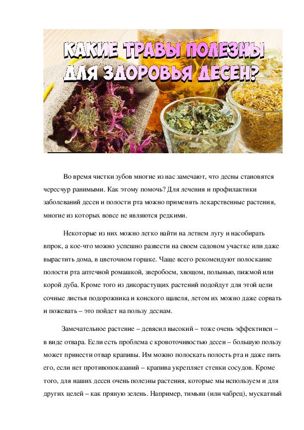 Обложка для материала Полезные травы.