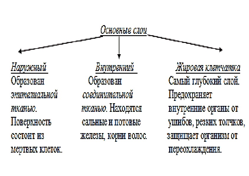 Опора сад фоллаут 76 схема