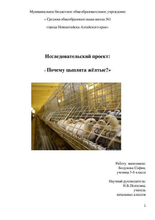 Исследовательская работа по теме"Охрана редких видов птиц в Алтайском крае на примере лебедей-кликунов." (4 класс)