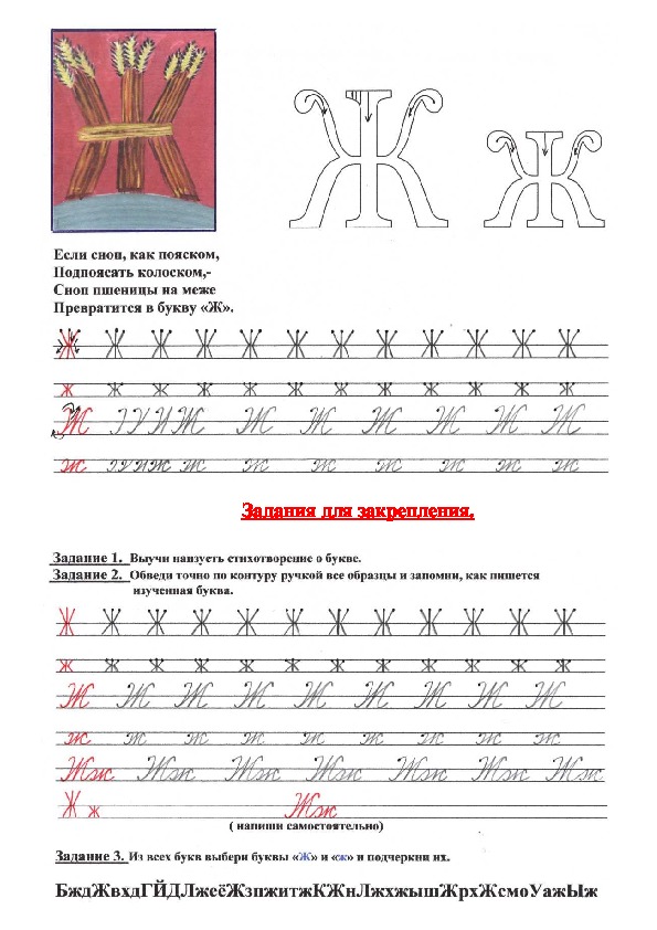 Пособие буквы. Как правильно писать букву ж. Учебник по написанию букв. Пособие пишем буквы. Рабочий лист буква ж.