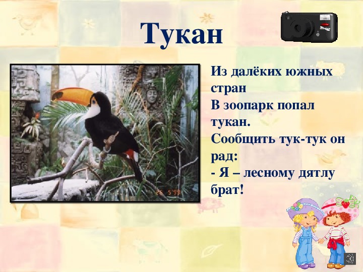 Тукан презентация 1 класс