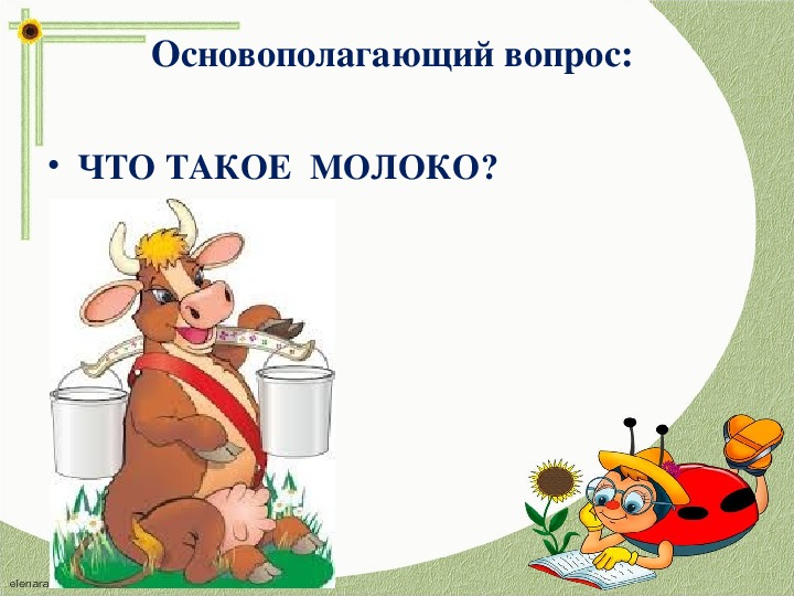 Исследовательский проект молоко и молочные продукты