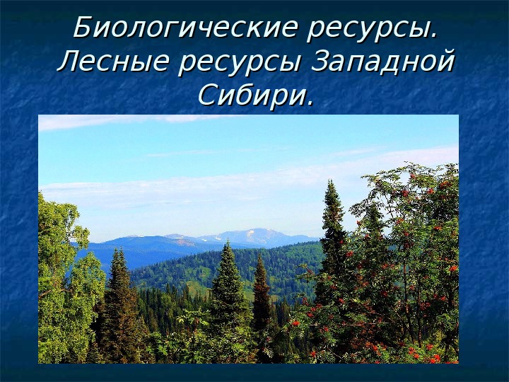 Сибирь богата природными ресурсами. Лесные ресурсы Сибири. Западная Сибирь природные ресурсы Лесные. Западно Сибирский район Лесные ресурсы. Биологические ресурсы Сибири.