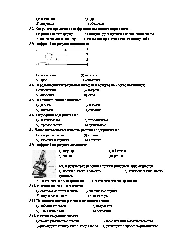 Контрольная по биологии 5 пасечник. Ким биология Пасечник. Контрольно измерительные материалы по биологии 5 класс Пасечник. Контрольно измерительный материал биология 5 класс ответы.