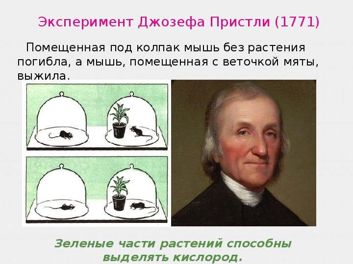 Опыт изображенный на рисунке был осуществлен английским химиком джозефом пристли