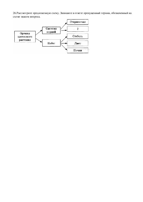 Рассмотрите предложенную схему запишите в ответе. Термины по биологии для ЕГЭ. Биологические термины и понятия ЕГЭ. Термины в заданиях ЕГЭ по биологии. Биологические термины и понятия для сдачи ЕГЭ.